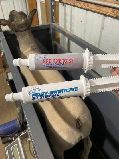 Pre-Exercise Paste (1 Tube)