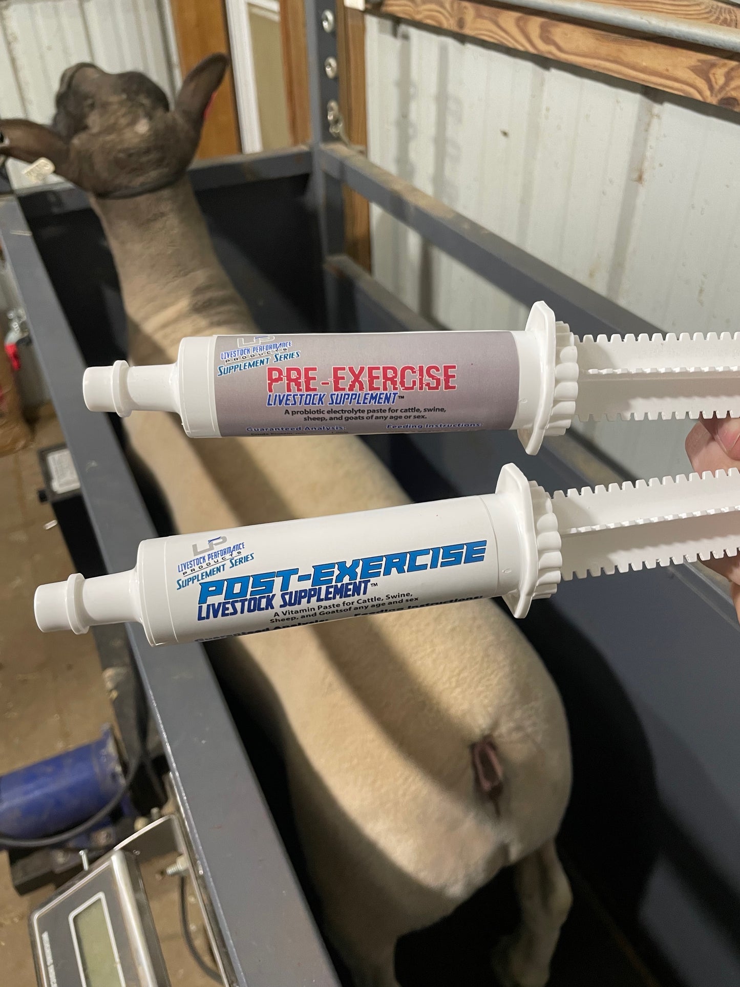 Post-Exercise Paste (1 Tube)